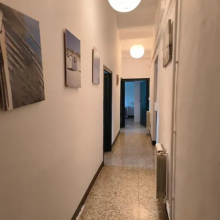 Teulera Casa de camp